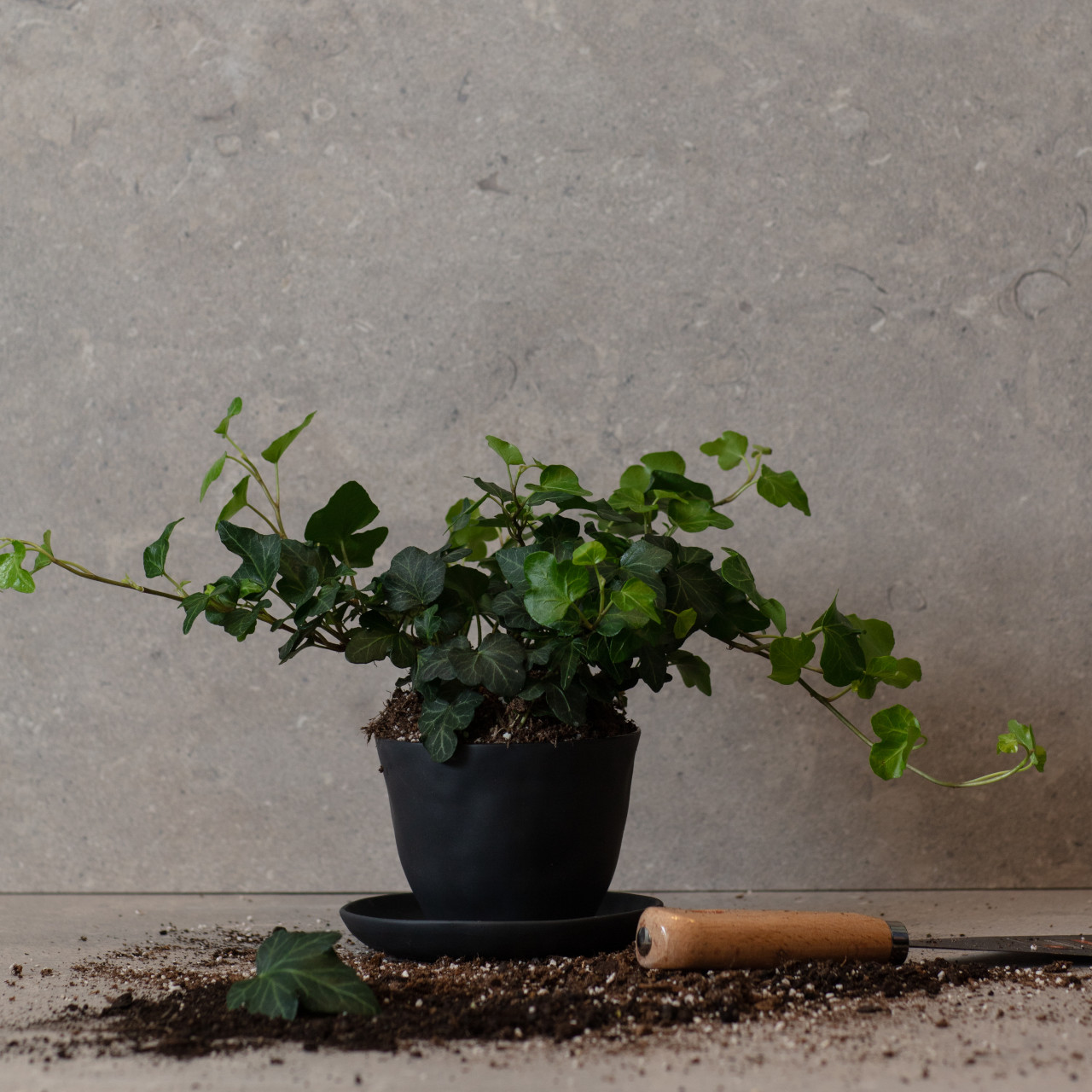 Inspiration utomhus
