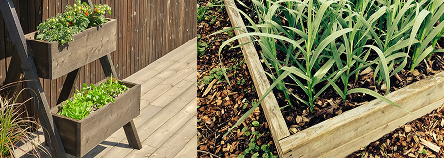 Bygga blom- eller odlingslåda | 