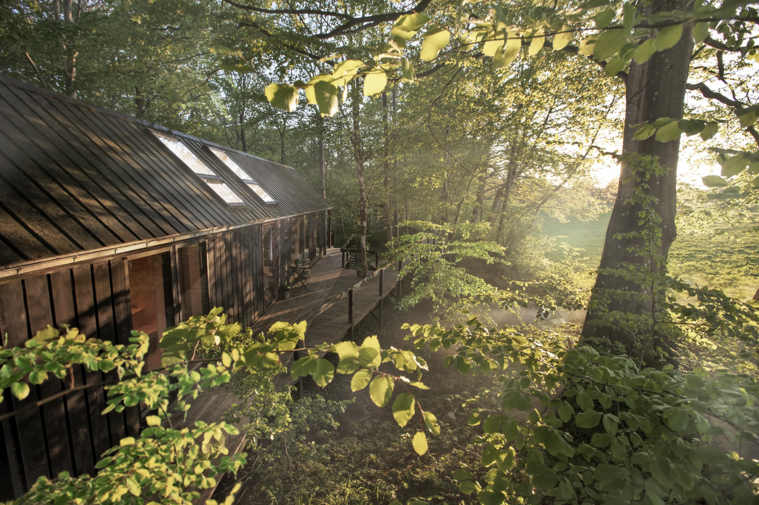 Hus i fin natur omgiven av vackert landskap med solsken