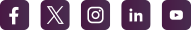 Logo Facebook, Twitter, Instagram, Linkedin, Youtube