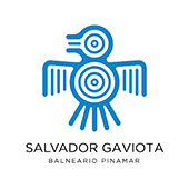 Salvador Gaviota Con Modo