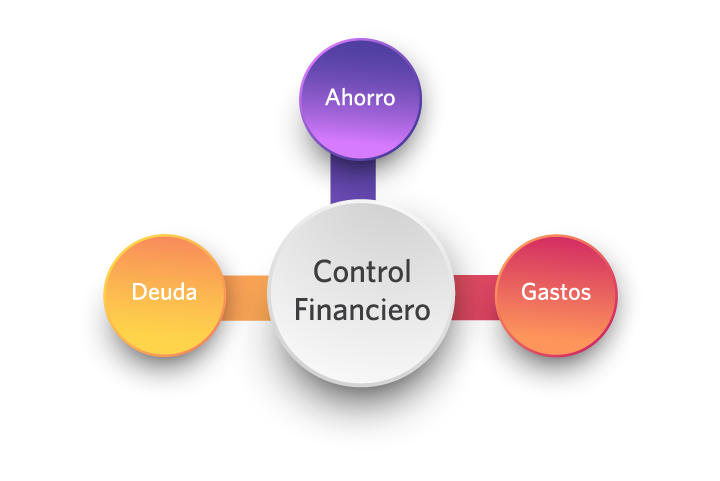 Control financiero